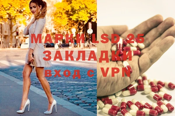 дмт Валдай