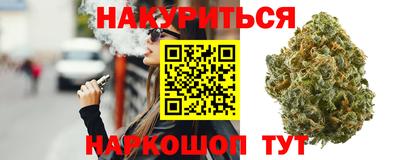 Альфа ПВП Гатчина