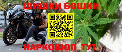 Альфа ПВП Гатчина