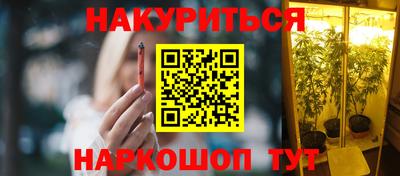 Альфа ПВП Гатчина