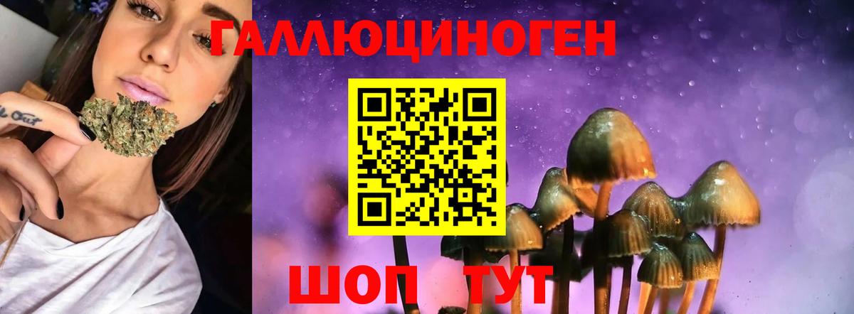 Галлюциногенные грибы Magic Shrooms  Вход с VPN  Галлюциногенные грибы ЛСД  Люберцы 
